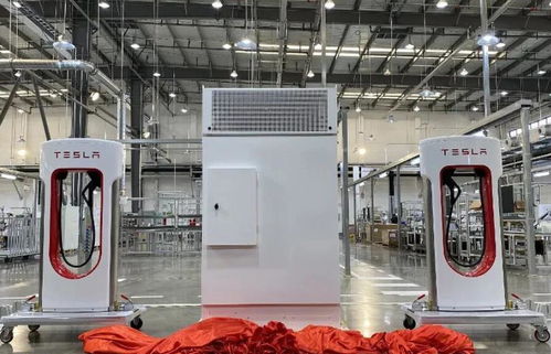 2021年新能源汽車市場展望 1月銷量翻倍增長與電熔鎂生產(chǎn)的潛在影響